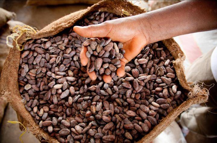 Welcome to the Barry Callebaut Website